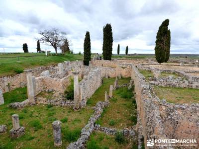 Yacimiento Clunia Sulpicia - Desfiladero de Yecla - Monasterio Santo Domingo de Silos - Yacimiento a